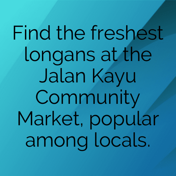 Longan Captions Image For Instagram-tdqlrV