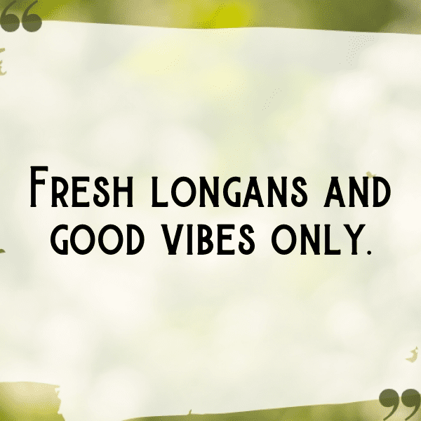 Longan Captions Photo For Instagram-5C9YQw