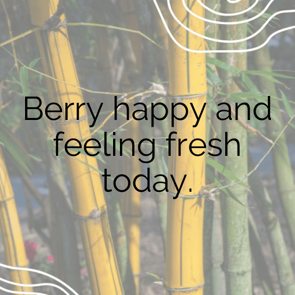 Loquat Captions Image For Instagram-7iM8Dr