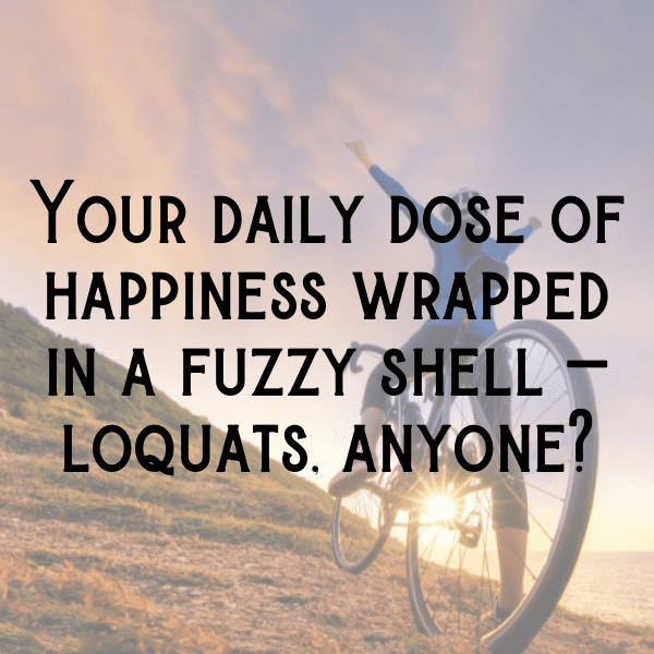 Loquat Captions Image For Instagram-N7wZKX