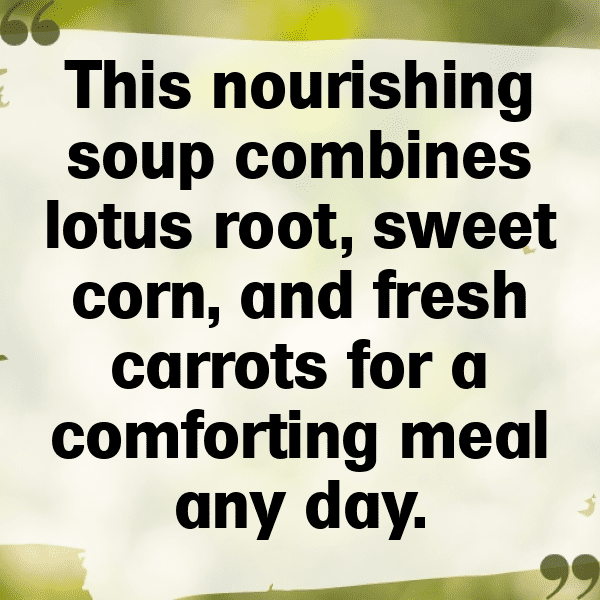 226+ Lotus Root Captions For Instagram In 2025 13 Lotus Root Captions Image For Instagram-rb5nWy