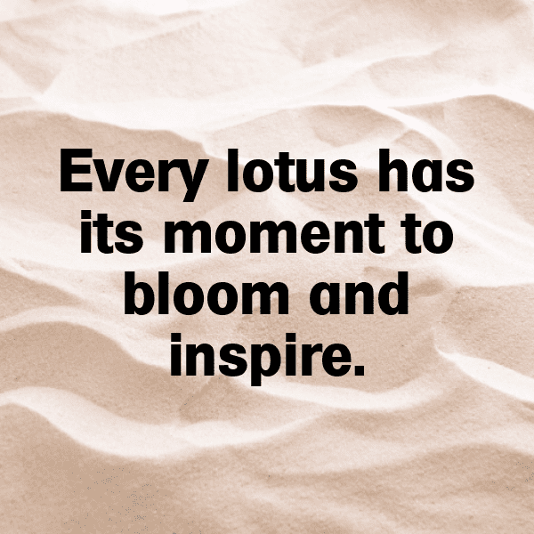 226+ Lotus Root Captions For Instagram In 2025 10 Lotus Root Captions Photo For Instagram-b8AUoh