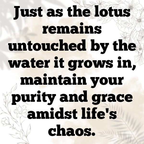 226+ Lotus Root Captions For Instagram In 2025 3 Lotus Root Captions Photo For Instagram-ZRBeb3