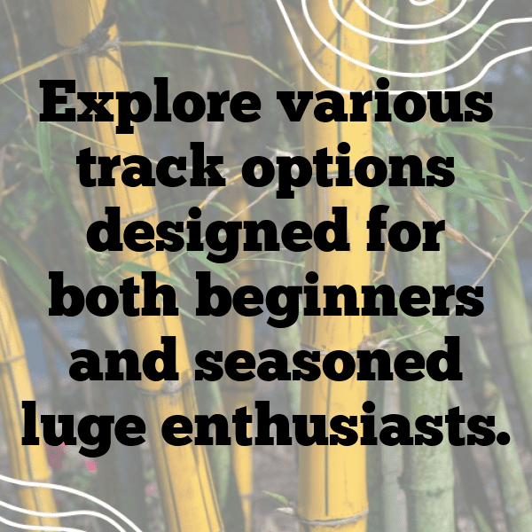 344+ Luge Captions for Instagram (Best, Funny & Short) 4 Luge Captions Image for Instagram-4pqxsx