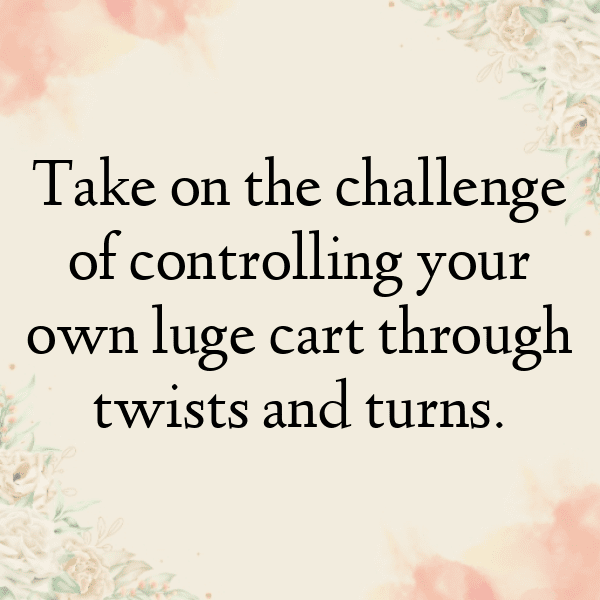 344+ Luge Captions for Instagram (Best, Funny & Short) 5 Luge Captions Image for Instagram-n5qtUh