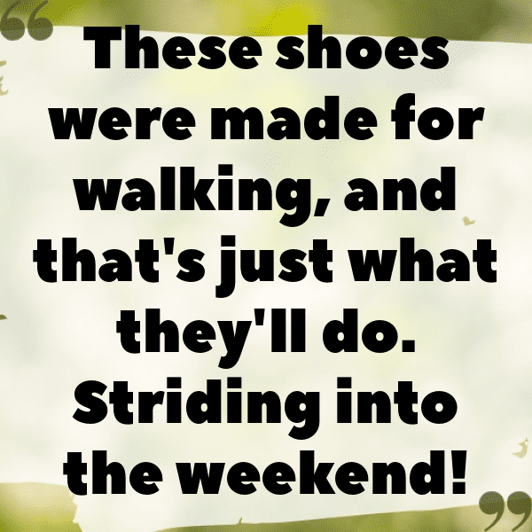 344+ Luge Captions for Instagram (Best, Funny & Short) 8 Luge Captions Photo for Instagram-i5R9ut