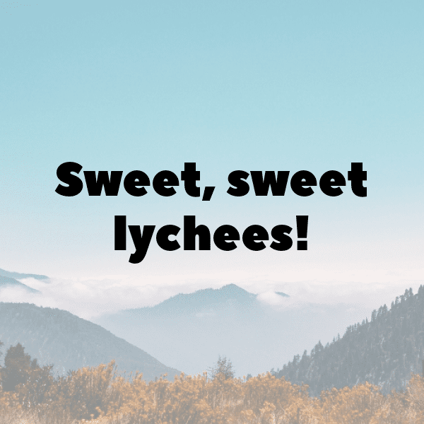 Lychee Captions Image For Instagram-mBEV3W