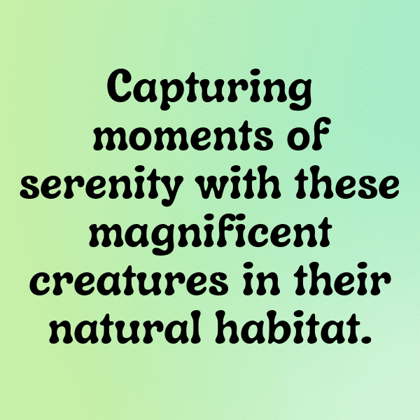 329+ Macaw Captions For Instagram (Best, Funny & Short) 3 Macaw Captions Image For Instagram-9ElpfZ