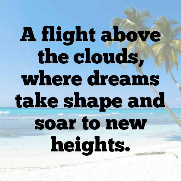 329+ Macaw Captions For Instagram (Best, Funny & Short) 4 Macaw Captions Image For Instagram-9yLYym