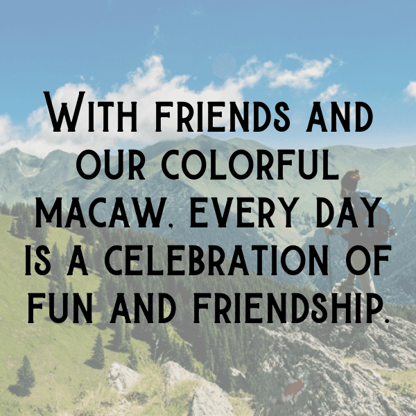 329+ Macaw Captions For Instagram (Best, Funny & Short) 7 Macaw Captions Image For Instagram-fSUx8s