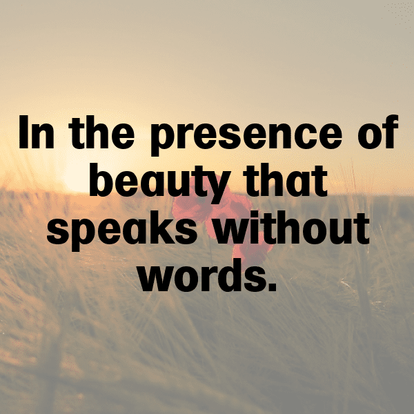 329+ Macaw Captions For Instagram (Best, Funny & Short) 5 Macaw Captions Image For Instagram-S4CNbx