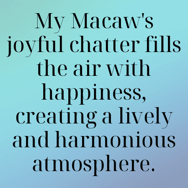 329+ Macaw Captions For Instagram (Best, Funny & Short) 15 Macaw Captions Photo For Instagram-0THH9e