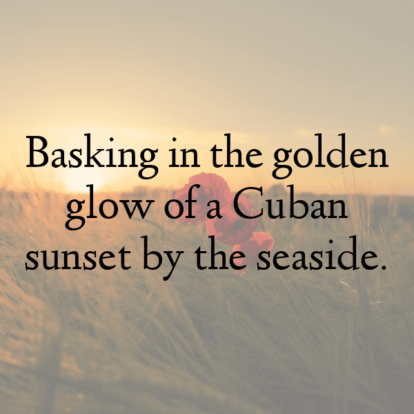 278+ Madagascar Captions For Instagram In 2025 14 Madagascar Captions Photo For Instagram-N7EpV9