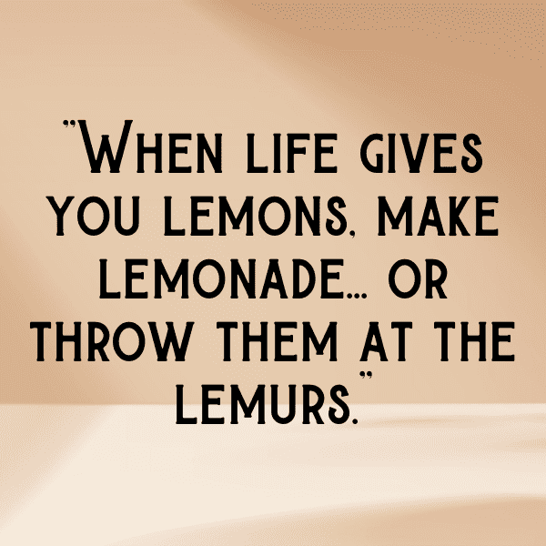 278+ Madagascar Captions For Instagram In 2025 4 Madagascar Captions Photo For Instagram-U8W1hT