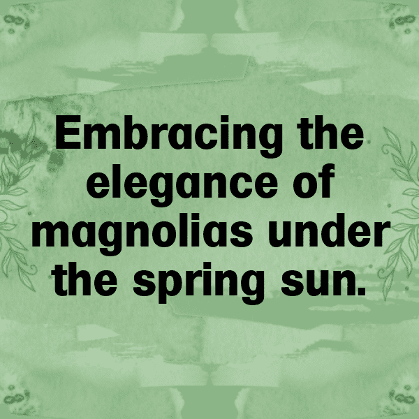 Magnolia Captions Image For Instagram-2csNFB