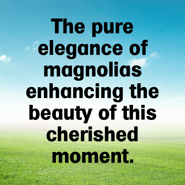 Magnolia Captions Photo For Instagram-ULlasU
