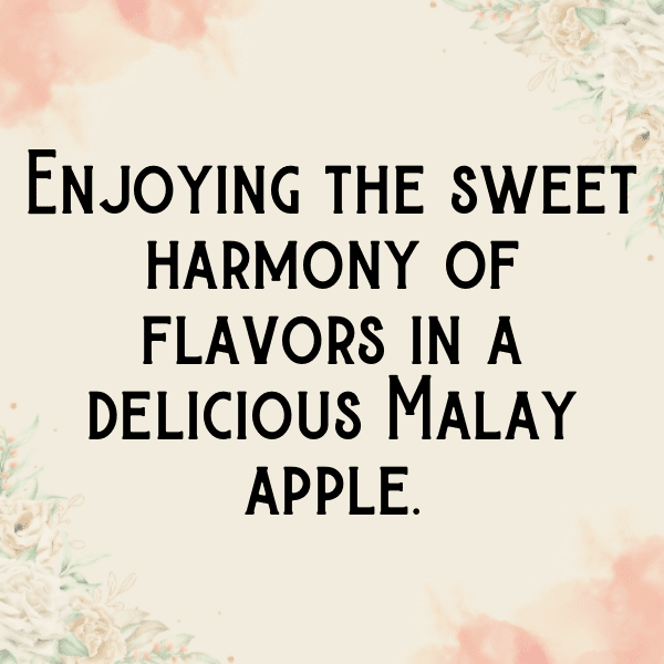 321+ Malay Apple Captions For Instagram (Fresh & Trendy) 7 Malay Apple Captions Image For Instagram-Icuhl9