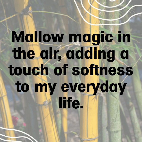 Mallow Captions Image For Instagram-RPDj5v