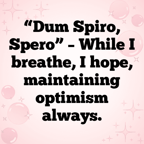 336+ Malta Captions For Instagram (Best, Funny & Short) 12 Malta Captions Image For Instagram-mE8kxZ