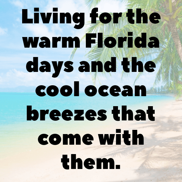 330+ Manatee Captions For Instagram In 2025 9 Manatee Captions Image For Instagram-7w9p3C