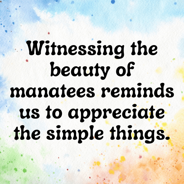 330+ Manatee Captions For Instagram In 2025 12 Manatee Captions Image For Instagram-FFDg0a