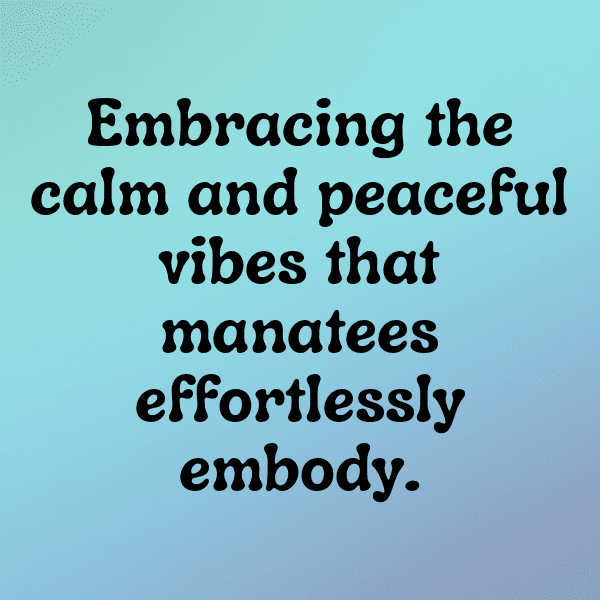 330+ Manatee Captions For Instagram In 2025 3 Manatee Captions Image For Instagram-OUMFaC