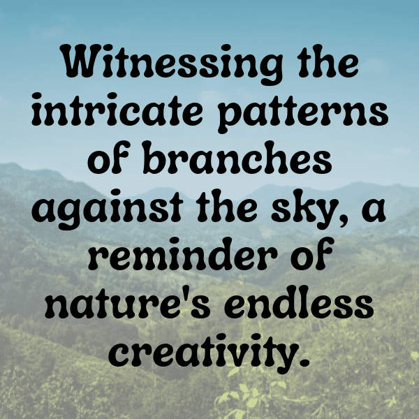 330+ Manatee Captions For Instagram In 2025 8 Manatee Captions Image For Instagram-rg0uDz