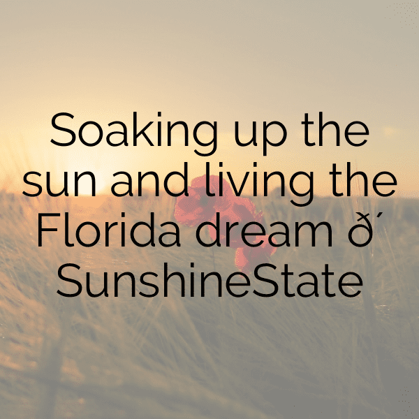 330+ Manatee Captions For Instagram In 2025 11 Manatee Captions Photo For Instagram-lInKP1