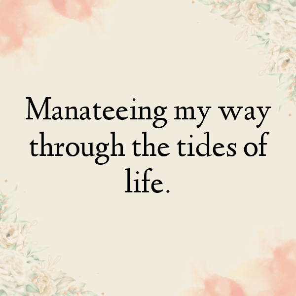 330+ Manatee Captions For Instagram In 2025 4 Manatee Captions Photo For Instagram-qAsGor