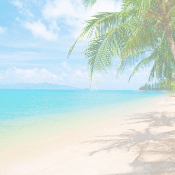 Mandarin Captions Photo For Instagram-eEaBjS