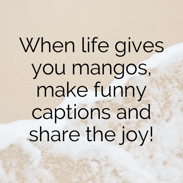 295+ Mango Captions For Instagram (Fresh & Trendy) 6 Mango Captions Image For Instagram-DDAxVK