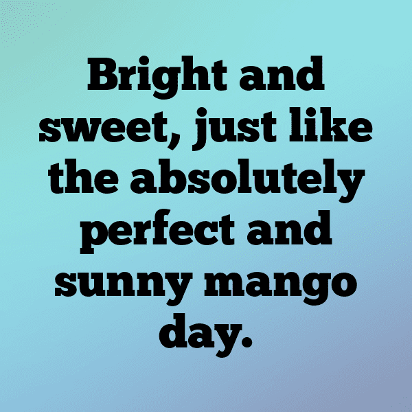 295+ Mango Captions For Instagram (Fresh & Trendy) 3 Mango Captions Photo For Instagram-lZ31gh