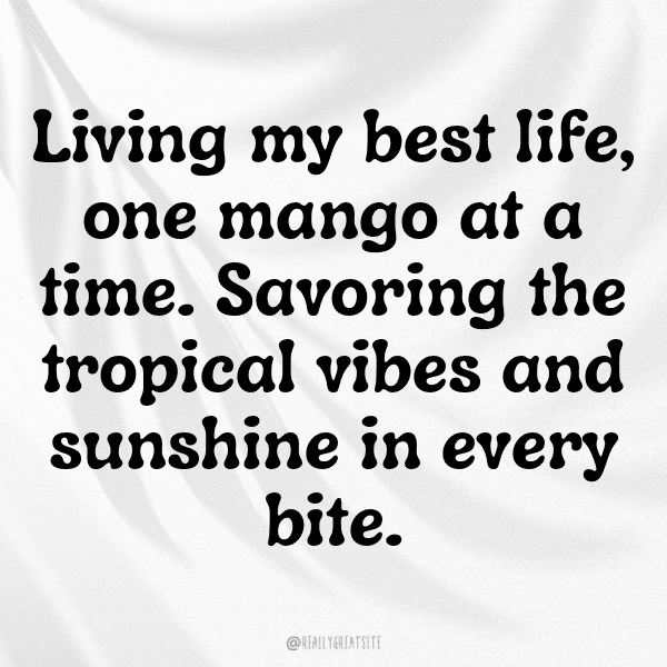 295+ Mango Captions For Instagram (Fresh & Trendy) 5 Mango Captions Photo For Instagram-MVYsWh