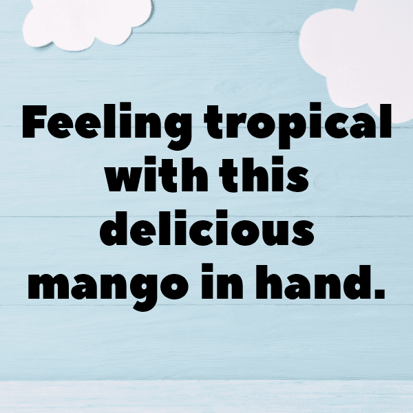 295+ Mango Captions For Instagram (Fresh & Trendy) 8 Mango Captions Photo For Instagram-sNWJTb