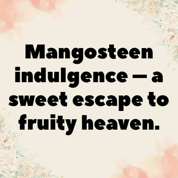 Mangosteen Captions Photo For Instagram-dF6lKv