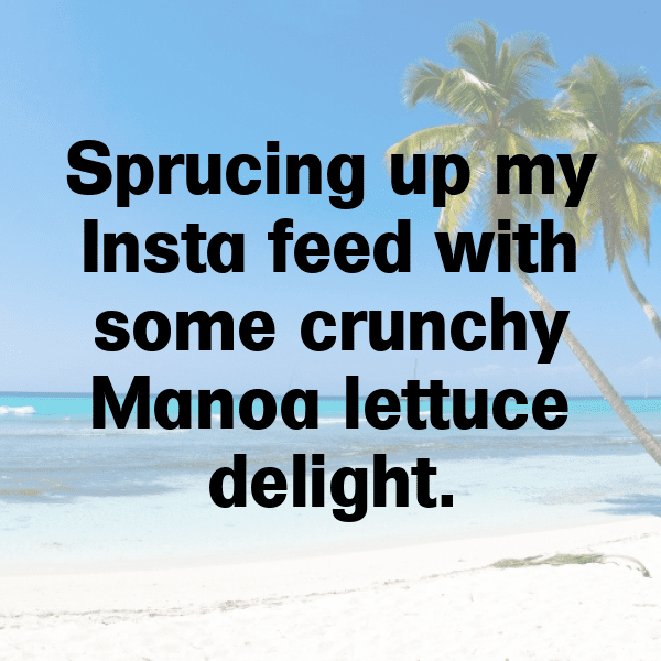 Manoa Lettuce Captions Image For Instagram-8S9lXm