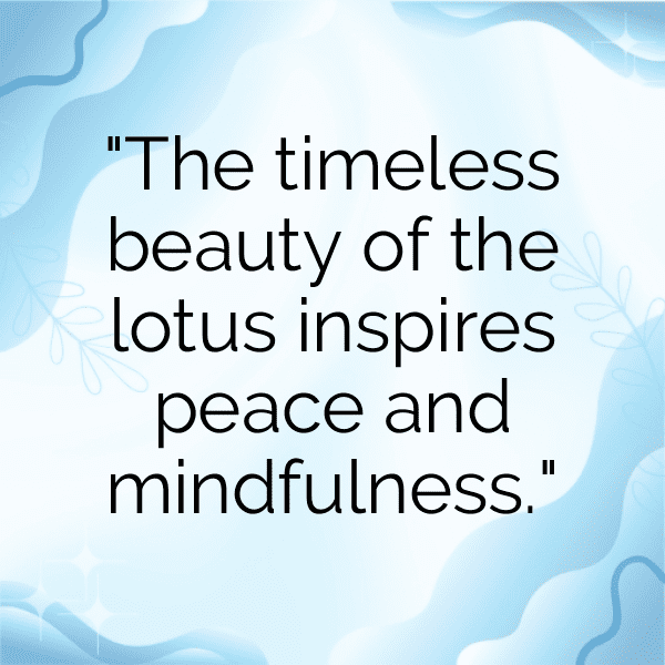 Manoa Lettuce Captions Image For Instagram-VZYKg9