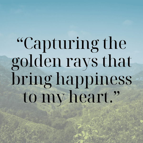 303+ Manta Ray Captions For Instagram In 2025 14 Manta Ray Captions Image For Instagram-84hyfw