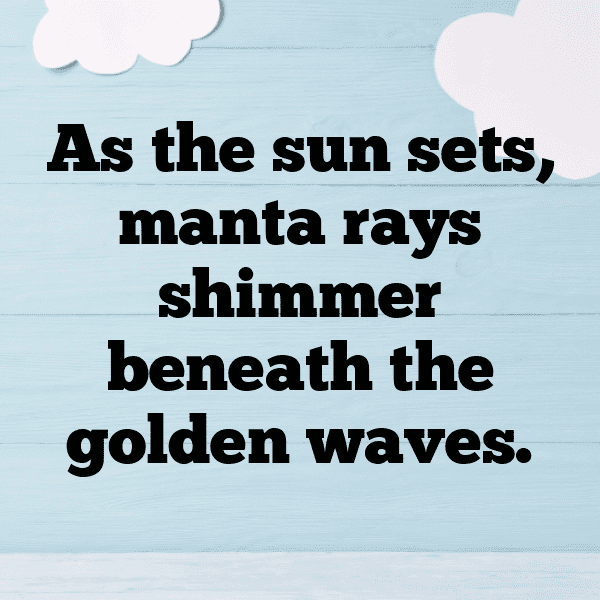 303+ Manta Ray Captions For Instagram In 2025 11 Manta Ray Captions Image For Instagram-Danrvh