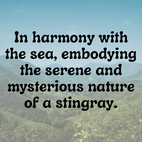 303+ Manta Ray Captions For Instagram In 2025 16 Manta Ray Captions Image For Instagram-HT4Iyf