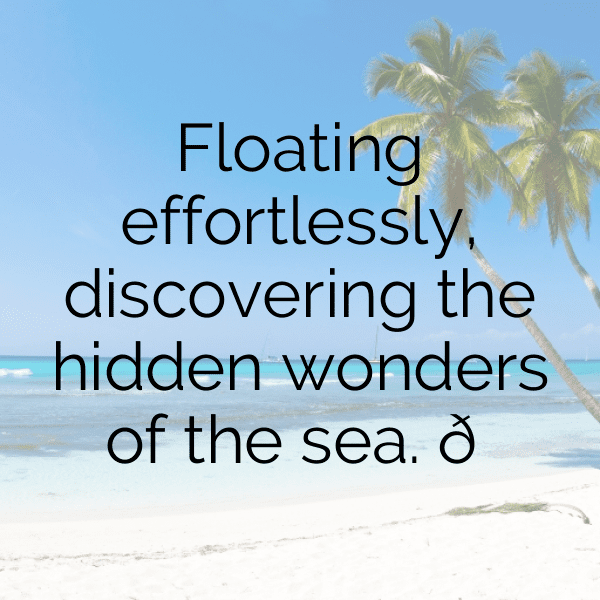 303+ Manta Ray Captions For Instagram In 2025 4 Manta Ray Captions Image For Instagram-jouuEw