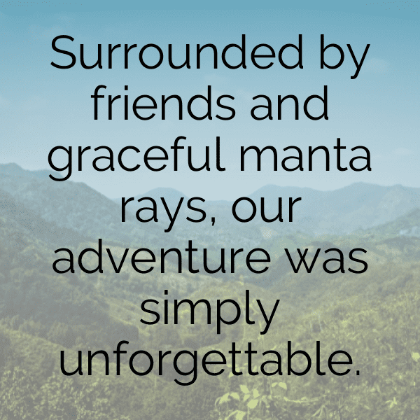 303+ Manta Ray Captions For Instagram In 2025 5 Manta Ray Captions Image For Instagram-mP4rmP