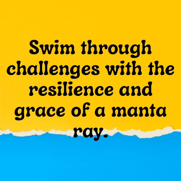 303+ Manta Ray Captions For Instagram In 2025 15 Manta Ray Captions Image For Instagram-rM5Vmw