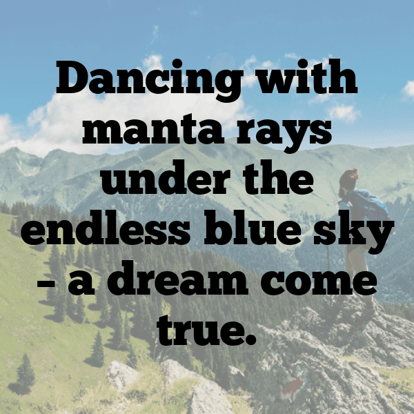 303+ Manta Ray Captions For Instagram In 2025 13 Manta Ray Captions Image For Instagram-rxYXqP