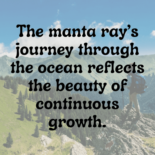303+ Manta Ray Captions For Instagram In 2025 6 Manta Ray Captions Image For Instagram-ZqTkkf