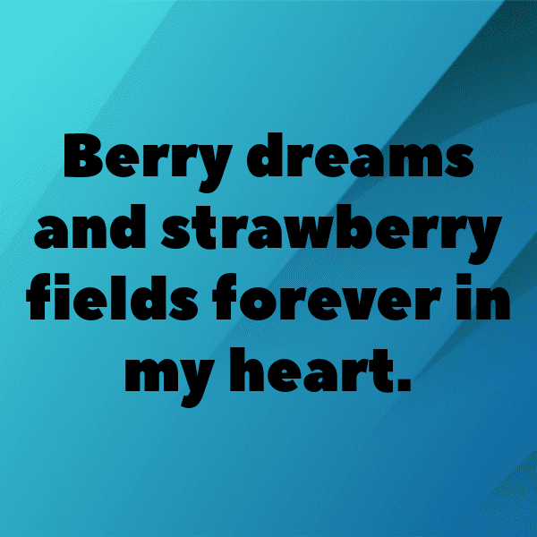 315+ Maqui Berry Captions For Instagram (Trending, Funny & Top) 10 Maqui Berry Captions Image For Instagram-4rkSow