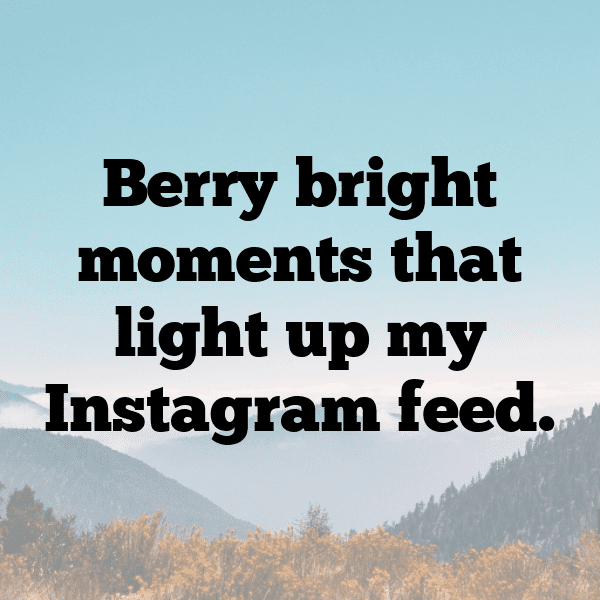 315+ Maqui Berry Captions For Instagram (Trending, Funny & Top) 9 Maqui Berry Captions Image For Instagram-kzDUIU