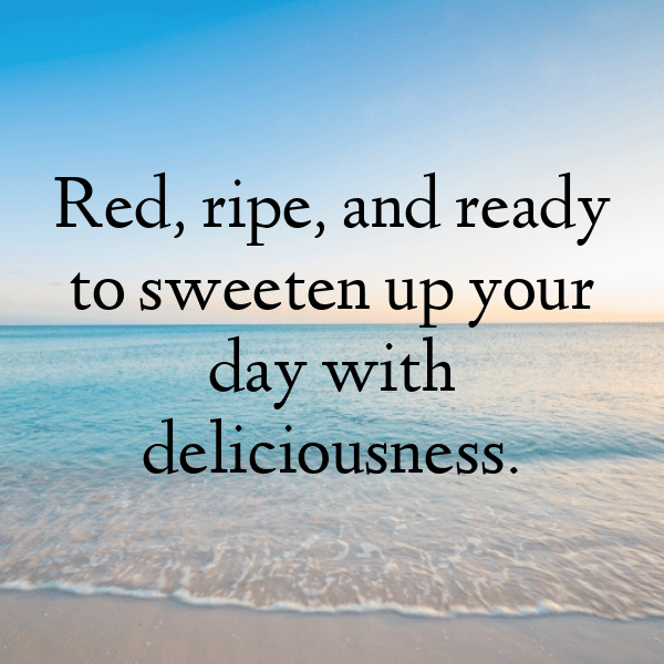 315+ Maqui Berry Captions For Instagram (Trending, Funny & Top) 7 Maqui Berry Captions Image For Instagram-zvx4DE