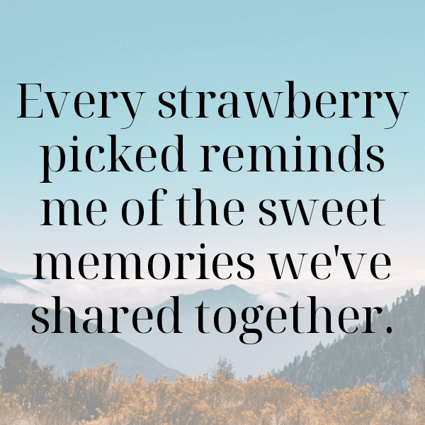 315+ Maqui Berry Captions For Instagram (Trending, Funny & Top) 8 Maqui Berry Captions Photo For Instagram-TkZzXd