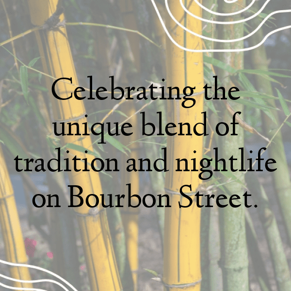 305+ Mardi Gras Captions for Instagram In 2025 3 Mardi Gras Captions Image for Instagram-ispktw